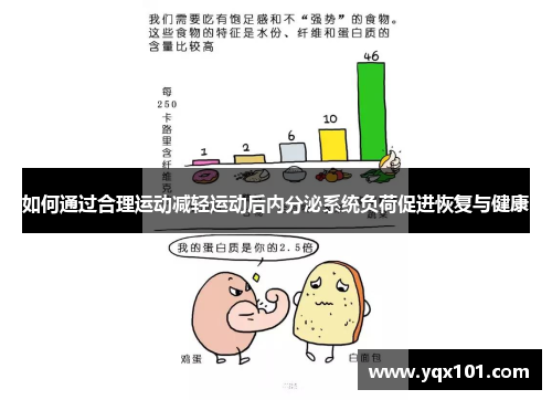 如何通过合理运动减轻运动后内分泌系统负荷促进恢复与健康