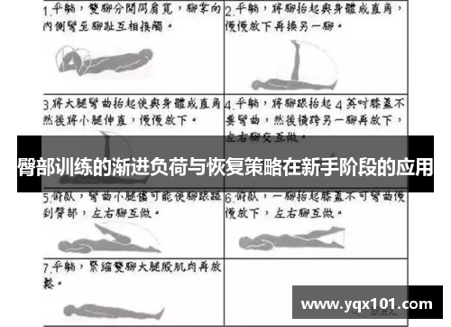臀部训练的渐进负荷与恢复策略在新手阶段的应用